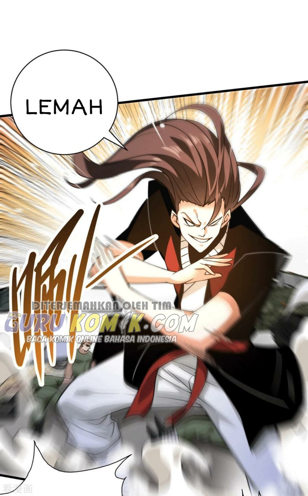 Halaman 17