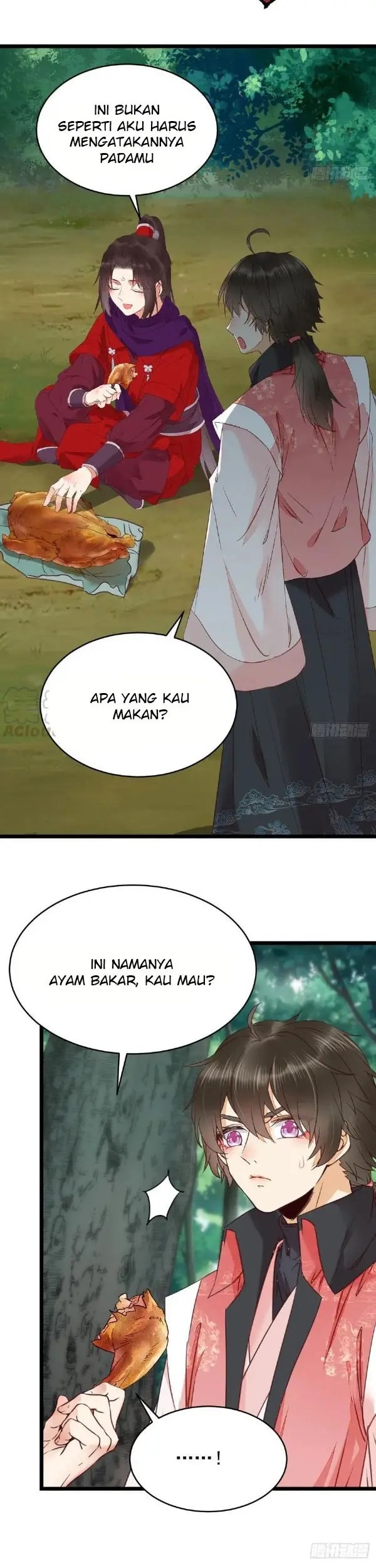 Halaman 17