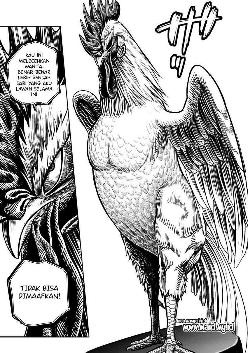 Halaman 46