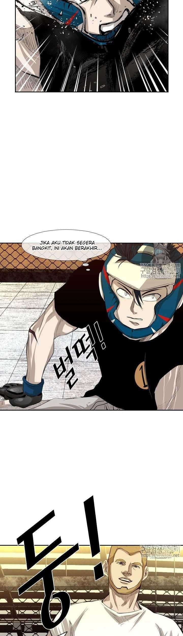 Halaman 17