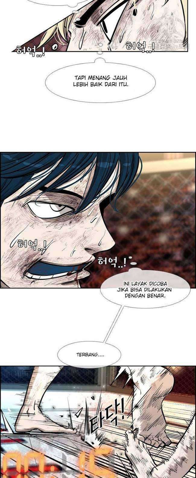Halaman 17