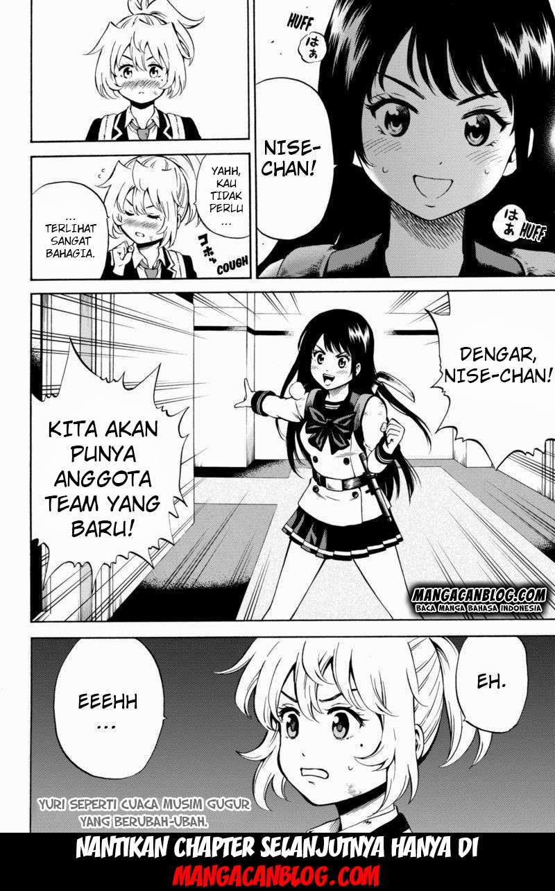 Halaman 17