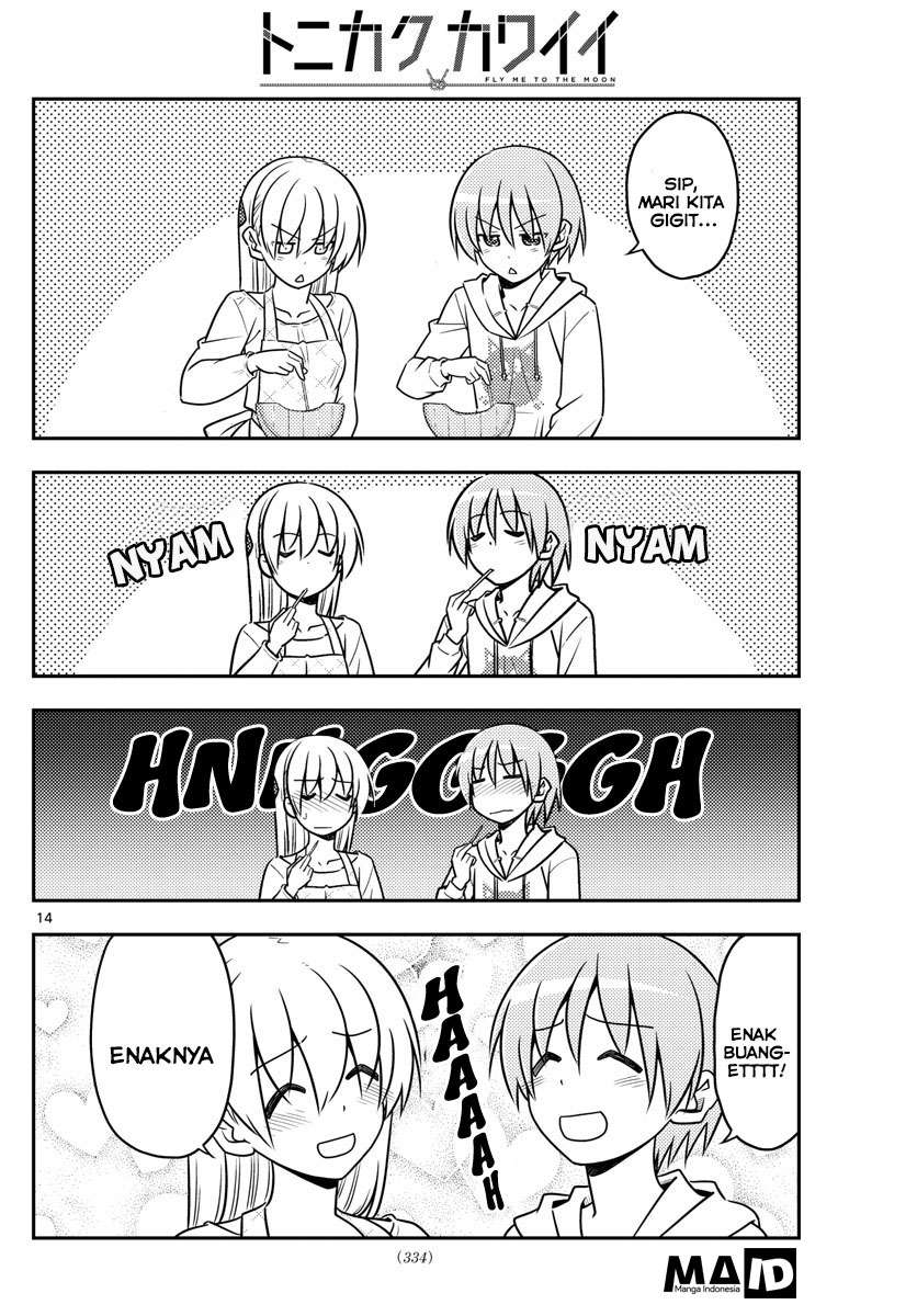 Halaman 17