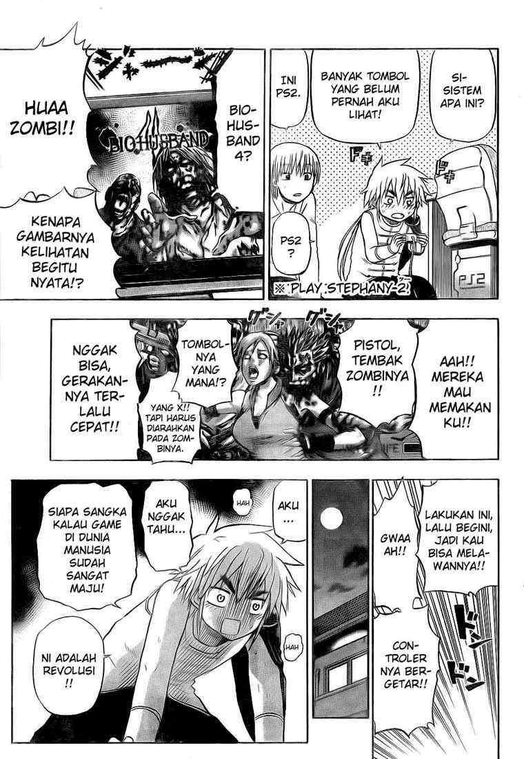 Halaman 17